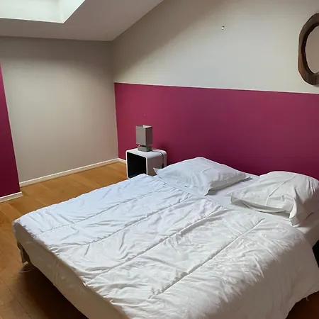 Apartment Le Lobau Nancy